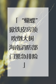 “蝴蝶”掀铁皮房顶吹倒大树 海南消防部门紧急排险