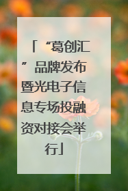 “葛创汇”品牌发布暨光电子信息专场投融资对接会举行