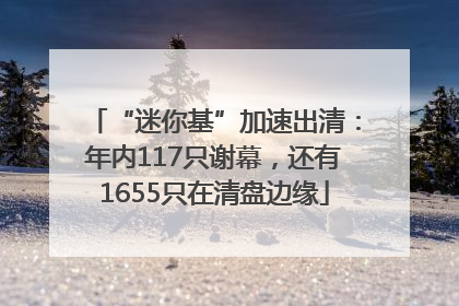 “迷你基”加速出清：年内117只谢幕，还有1655只在清盘边缘