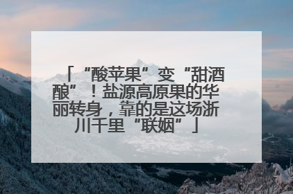 “酸苹果”变“甜酒酿”！盐源高原果的华丽转身，靠的是这场浙川千里“联姻”