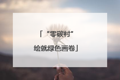 “零碳村” 绘就绿色画卷