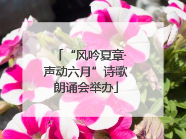 “风吟夏章·声动六月”诗歌朗诵会举办