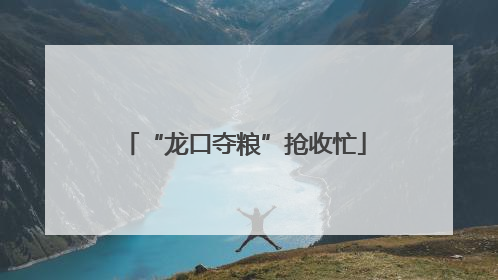 “龙口夺粮”抢收忙