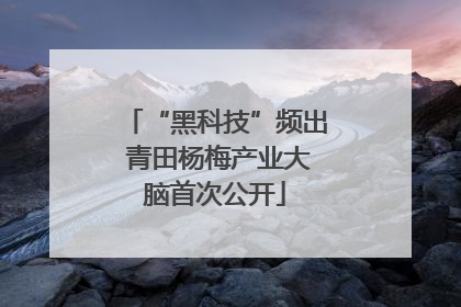 “黑科技”频出 青田杨梅产业大脑首次公开