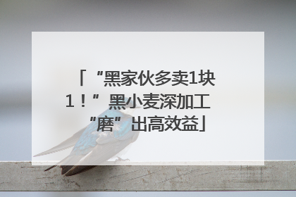 “黑家伙多卖1块1！”黑小麦深加工“磨”出高效益