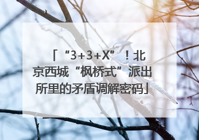 “3+3+X”！北京西城“枫桥式”派出所里的矛盾调解密码