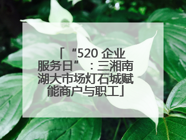 “520 企业服务日”：三湘南湖大市场灯石城赋能商户与职工