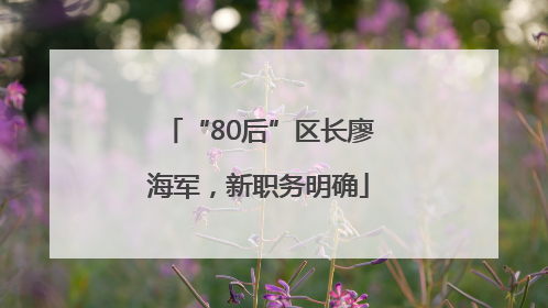 “80后”区长廖海军，新职务明确