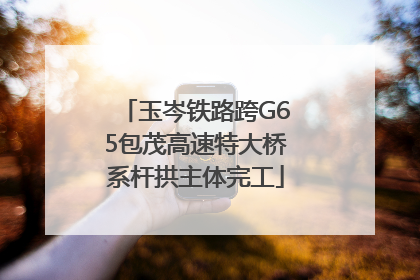 玉岑铁路跨G65包茂高速特大桥系杆拱主体完工