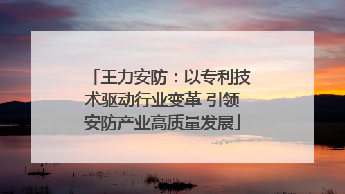 王力安防：以专利技术驱动行业变革 引领安防产业高质量发展