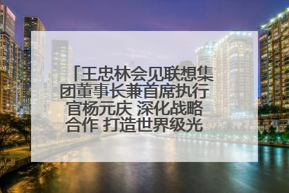王忠林会见联想集团董事长兼首席执行官杨元庆 深化战略合作 打造世界级光电子信息产业集群
