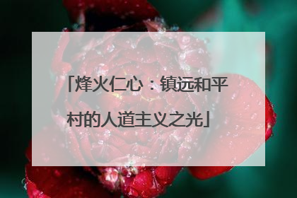 烽火仁心：镇远和平村的人道主义之光