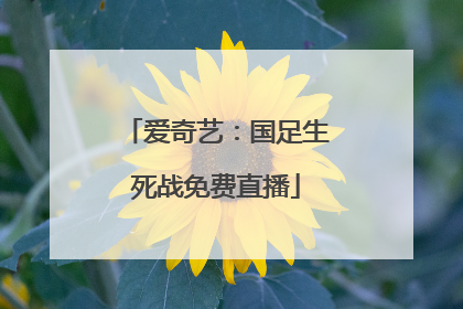 爱奇艺：国足生死战免费直播