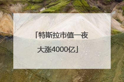 特斯拉市值一夜大涨4000亿