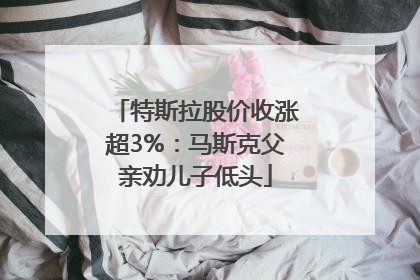 特斯拉股价收涨超3%：马斯克父亲劝儿子低头