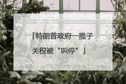 特朗普政府一揽子关税被“叫停”
