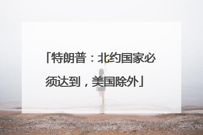 特朗普：北约国家必须达到，美国除外