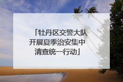 牡丹区交警大队开展夏季治安集中清查统一行动