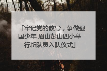 牢记党的教导，争做强国少年 眉山彭山四小举行新队员入队仪式