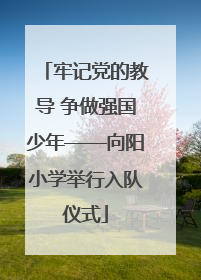 牢记党的教导 争做强国少年——向阳小学举行入队仪式