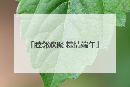 睦邻欢聚 粽情端午
