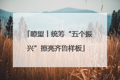 瞭望丨统筹“五个振兴”擦亮齐鲁样板