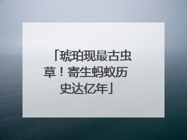 琥珀现最古虫草！寄生蚂蚁历史达亿年