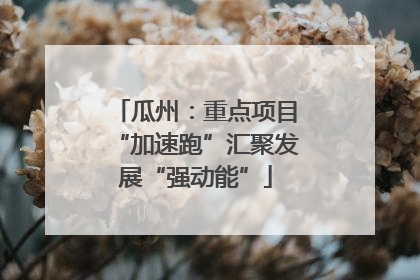 瓜州：重点项目“加速跑”汇聚发展“强动能”