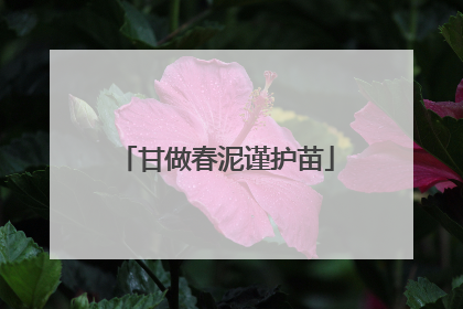 甘做春泥谨护苗