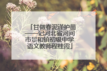 甘做春泥谨护苗——记河北省河间市景和镇初级中学语文教师程桂霞