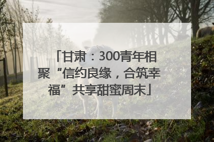 甘肃：300青年相聚“信约良缘，合筑幸福”共享甜蜜周末