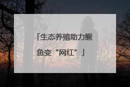 生态养殖助力鳜鱼变“网红”