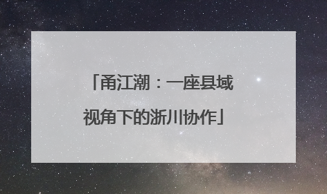 甬江潮：一座县域视角下的浙川协作