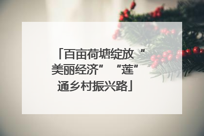 百亩荷塘绽放“美丽经济”“莲”通乡村振兴路