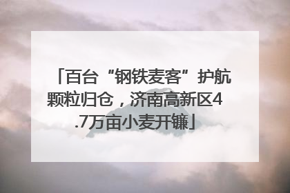百台“钢铁麦客”护航颗粒归仓，济南高新区4.7万亩小麦开镰