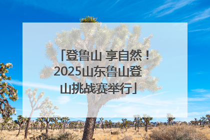 登鲁山 享自然！2025山东鲁山登山挑战赛举行