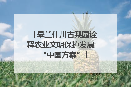 皋兰什川古梨园诠释农业文明保护发展“中国方案”