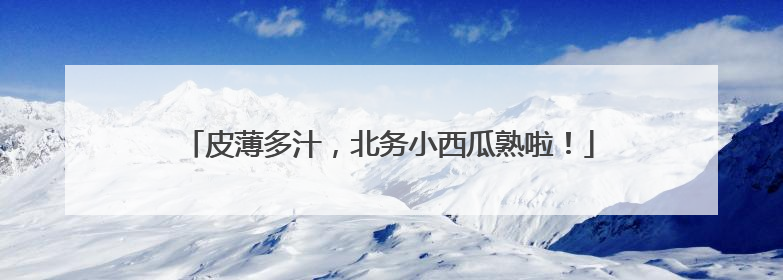 皮薄多汁，北务小西瓜熟啦！