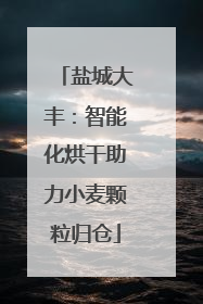 盐城大丰：智能化烘干助力小麦颗粒归仓