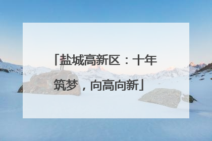 盐城高新区：十年筑梦，向高向新