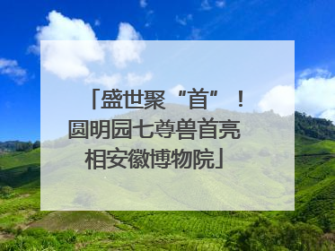 盛世聚“首”！圆明园七尊兽首亮相安徽博物院