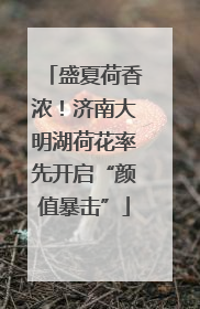 盛夏荷香浓！济南大明湖荷花率先开启“颜值暴击”