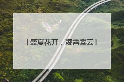 盛夏花开，凌霄攀云
