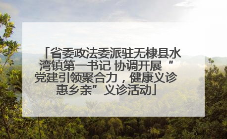 省委政法委派驻无棣县水湾镇第一书记 协调开展“党建引领聚合力，健康义诊惠乡亲”义诊活动