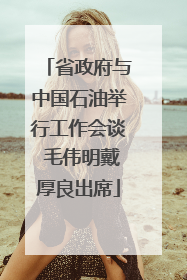 省政府与中国石油举行工作会谈 毛伟明戴厚良出席