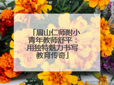 眉山仁师附小青年教师舒平：用独特魅力书写教育传奇
