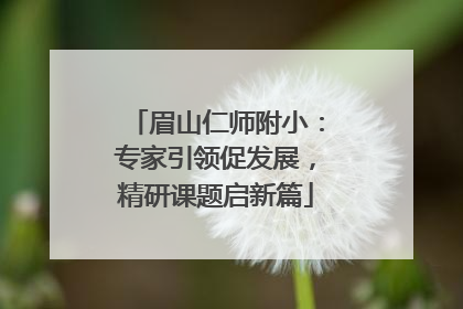 眉山仁师附小：专家引领促发展，精研课题启新篇