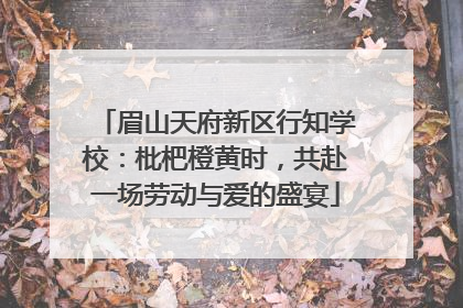 眉山天府新区行知学校：枇杷橙黄时，共赴一场劳动与爱的盛宴