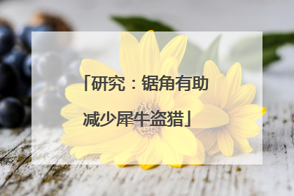 研究：锯角有助减少犀牛盗猎