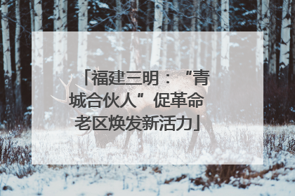 福建三明：“青城合伙人”促革命老区焕发新活力